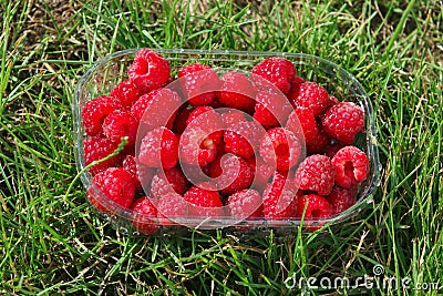 Punnet of raspberries Stock Photo