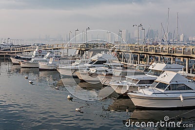 Punta del Este Beach Uruguay Editorial Stock Photo