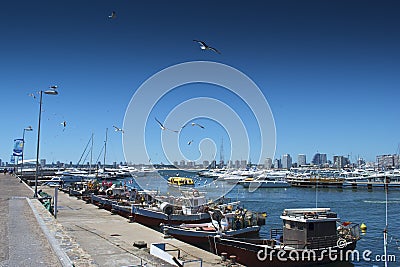 Punta del Este Pier Stock Photo