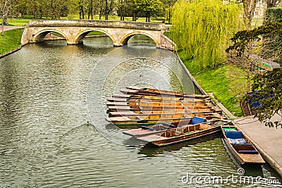 Punts moored on the bank of the river Cam, Cambridge, England Stock Photo