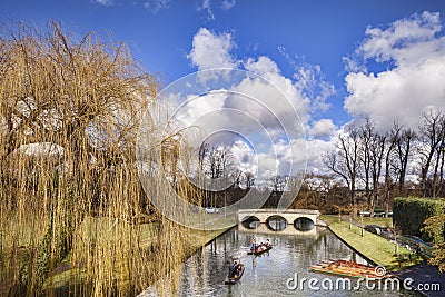 Punts on the River Cam Editorial Stock Photo
