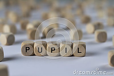 Pupil - cube with letters, sign with wooden cubes Stock Photo