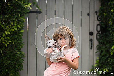 Puppies and child hugs, care and love to small puppy. Stock Photo