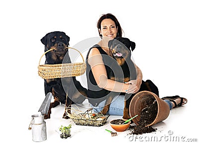 puppy, adult rottweiler and woman Stock Photo