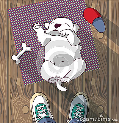 Puppy cute rest sleep on the floor and owner. Vector Illustration