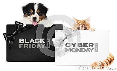 Puppy dog and cat pets together showing black and silver gift card with black friday and cyber monday text isolated on white Stock Photo