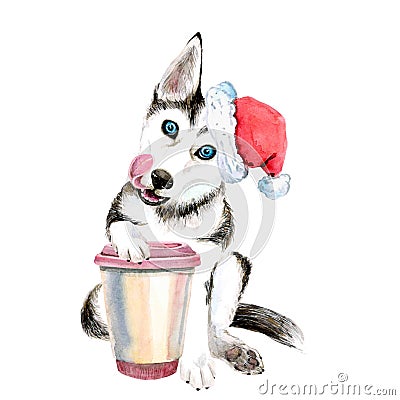 Puppy of dog Husky in new year hat with a mug of coffee. Isolated on white Stock Photo