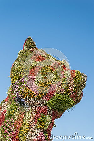 Puppy in front of Guggenheim museum in Bilbao Editorial Stock Photo