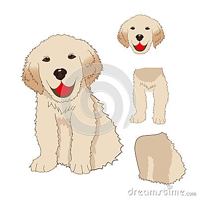 Puppy Golden Retriever Sitting, Baby Dog Labrador Smile. Greeting Card on White Background. Vector Illustration