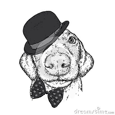 Puppy in a hat, glasses and a tie. Patrick`s day. Vector illustration for a postcard or a poster, print for clothes. Vector Illustration