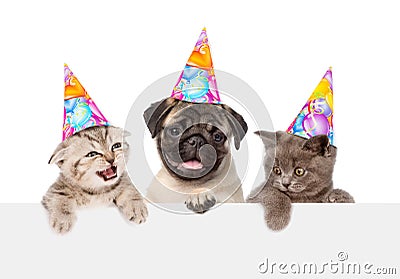 Puppy and kittens in birthday hats peeking from behind empty board. isolated on white Stock Photo