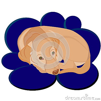 Puppy Labrador Retriever cozy lying cloud Vector Illustration