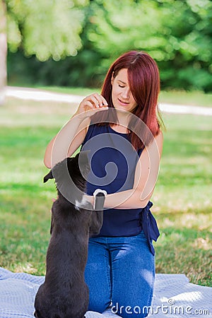 Puppy motivational training in a city park giving paw. Dog owner gives border collie dog a reward for hig five Stock Photo