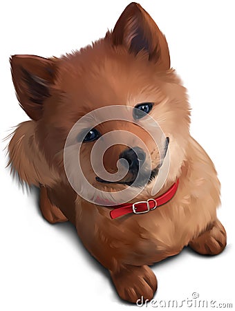 The puppy Shiba Inu Stock Photo