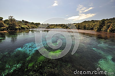 Pupu Springs, New Zealand Stock Photo