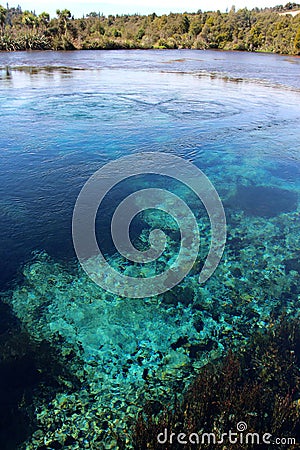 Pupu springs New Zealand Stock Photo