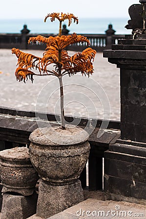 Pura Tanah Lot Stock Photo