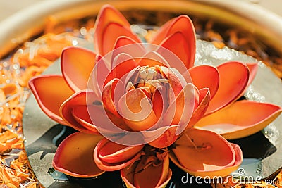 Pure Nelumbo flower known as Lotus in a copper vase. Sacred plant in Hinduism and Buddhism. Stock Photo