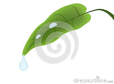 Pure water Vector Illustration