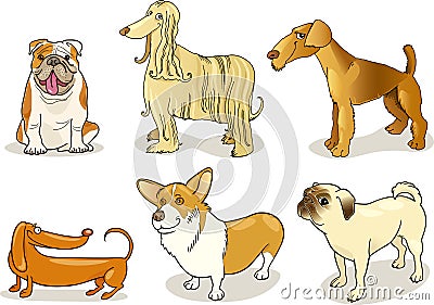 Purebred dogs Vector Illustration