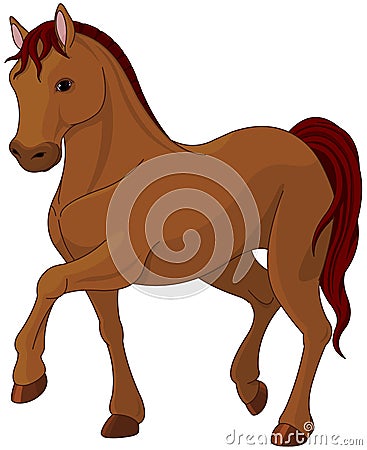 Purebred horse Vector Illustration