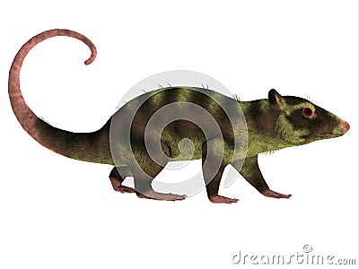 Purgatorius Primate Side Profile Stock Photo