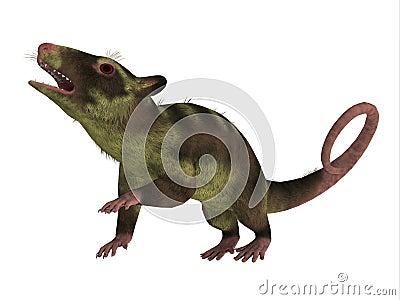 Purgatorius Primate on White Stock Photo