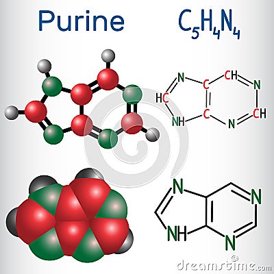 Purine molecule, is a heterocyclic aromatic organic compound. St Vector Illustration