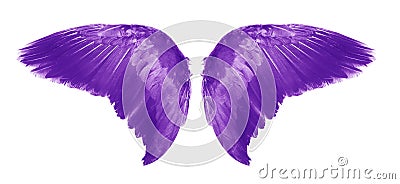 Purple Angel wings an isolated on white background Stock Photo