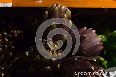 Purple artichoke isolated. Market place. organic diet Stock Photo