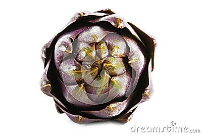 Purple artichoke shot from the front isolated on a white backgr Stock Photo