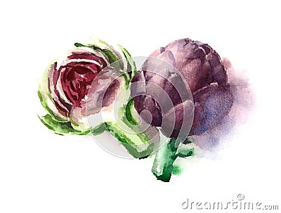 Purple Artichokes Watercolor Food Vegetables Illustration Hand Painted on white background Cartoon Illustration