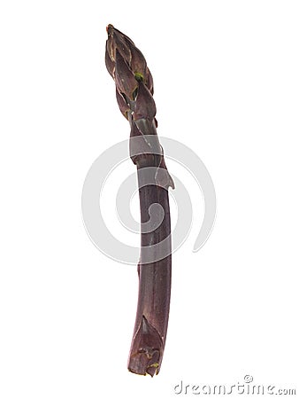 Purple Asparagus Spear Stock Photo