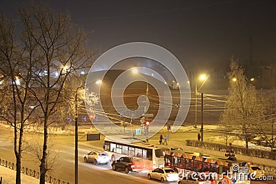 Purple Aster, beautiful flowerstreet of a night city in the Urals in Russia Editorial Stock Photo