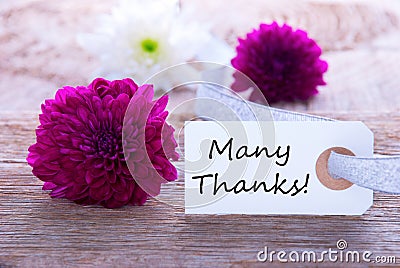 Purple Background with Many Thanks Stock Photo