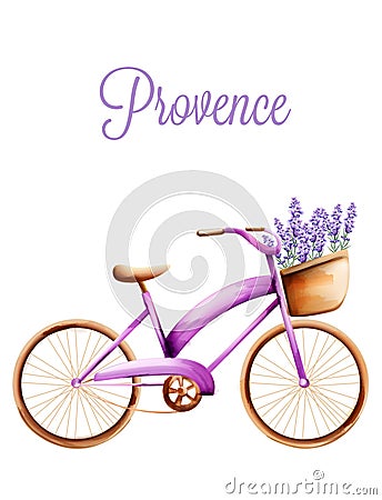 Purple bicycle with lavender in the front basket Vector Illustration