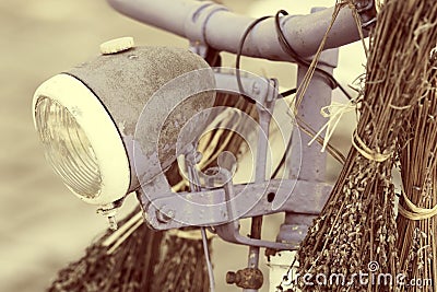 Purple bicycle with lavender Stock Photo