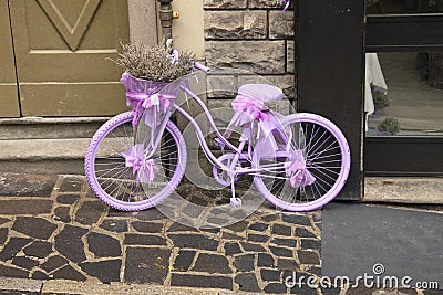 Purple bicycle with lavender. Stock Photo