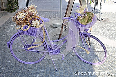 Purple Bicycle Stock Photo