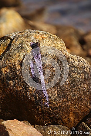 Purple bird dropping on a rock in sunlight Stock Photo