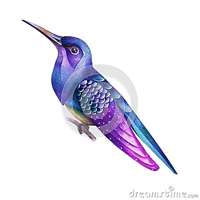 A purple bird with a long beak. Watercolor Stock Photo