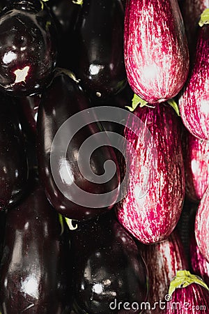 Purple and black squash, vertical and horizontal top view Stock Photo