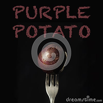 Purple or blue potato Stock Photo