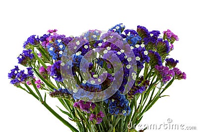 Purple Blue Violet Statice Bouquet Stock Photo