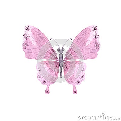 Purple bright watercolor butterfly Stock Photo