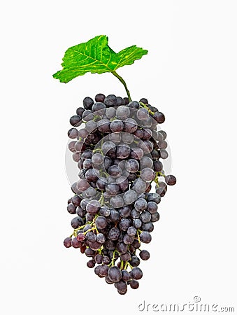 Purple bunch grape with green leaf Stock Photo