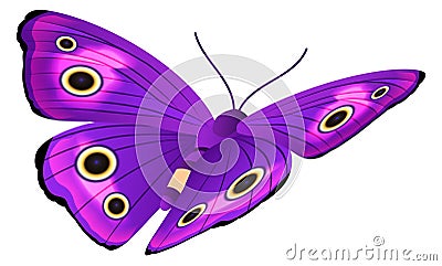 Purple butterfly with bright patterned wings. Flying moth Vector Illustration