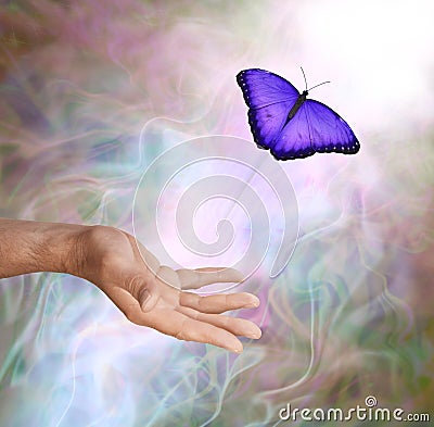 Purple Butterfly Symbolic Spiritual Release Stock Photo