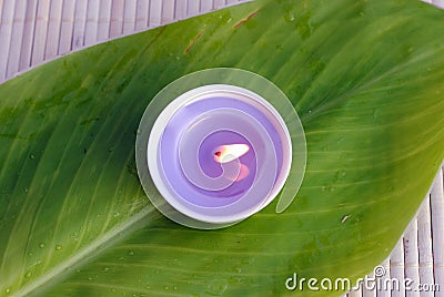Purple candle on a green leaf Stock Photo