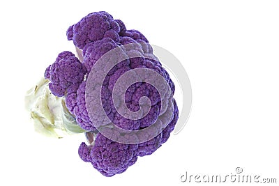 Purple Cauliflower Isolated Stock Photo